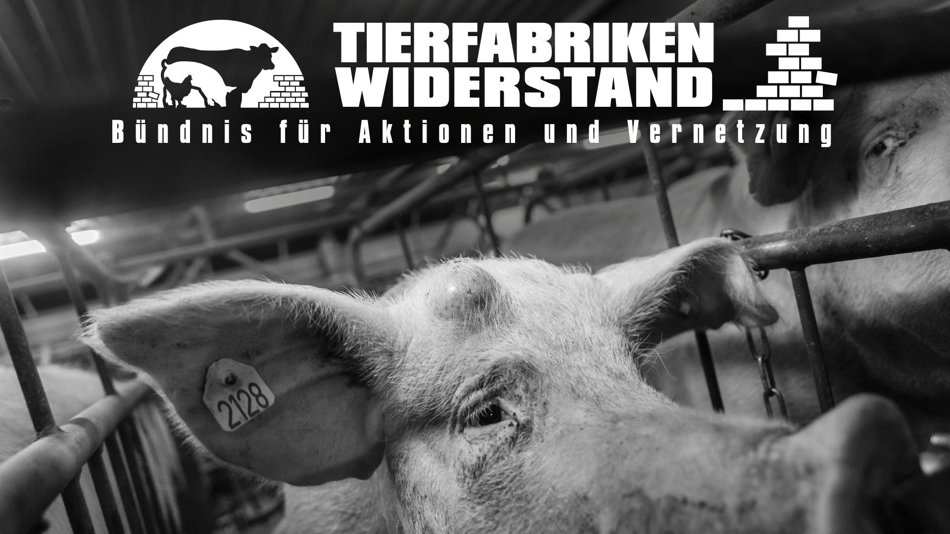 (c) Tierfabriken-widerstand.org